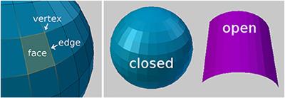 NeuroMorph: A Software Toolset for 3D Analysis of Neurite Morphology and Connectivity